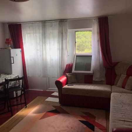 Ferienwohnung Garsoniera Lazaroiu Băile Govora Exterior foto