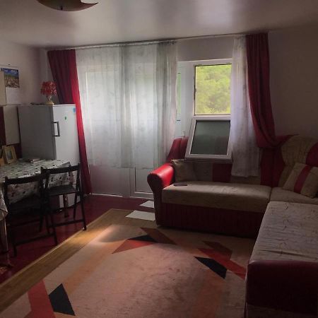 Ferienwohnung Garsoniera Lazaroiu Băile Govora Exterior foto