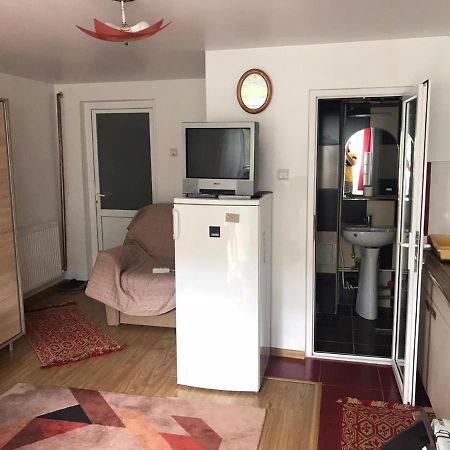Ferienwohnung Garsoniera Lazaroiu Băile Govora Exterior foto